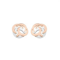 Pendientes SHIELD de Plata. Baño de Oro 18k