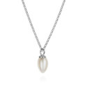 Colgante PENDULUM de Plata.